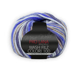 PRO LANA Wash-Filz colori 100