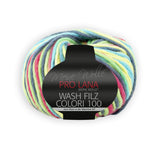 PRO LANA Wash-Filz colori 100