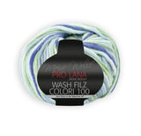 PRO LANA Wash-Filz colori 100