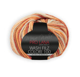 PRO LANA Wash-Filz colori 100