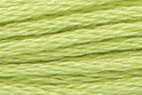 Stickgarn ANCHOR Mouliné Farbnr.: 211-300